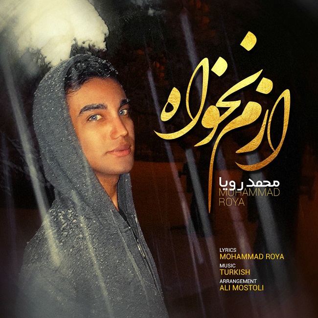 دانلود آهنگ ازم نخواه